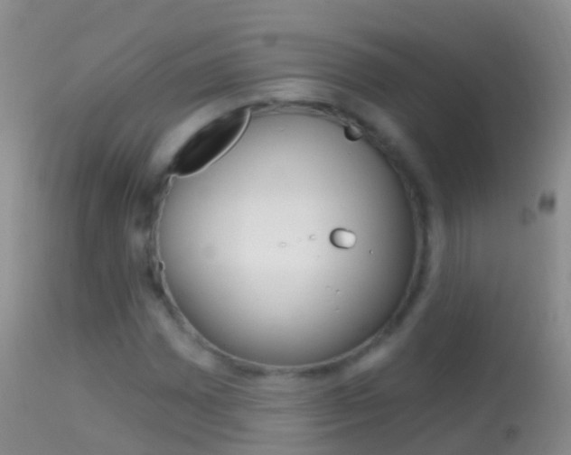 X0000114691065200910211049