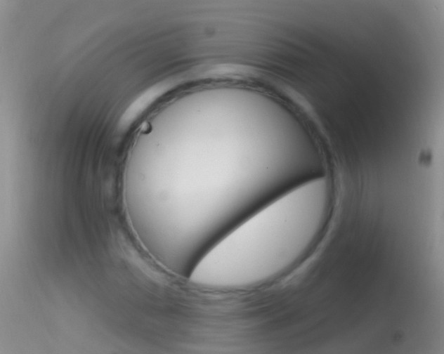 X0000114691066200910211049