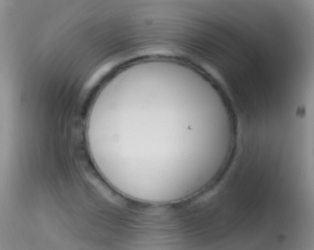 X0000114691067200910211049