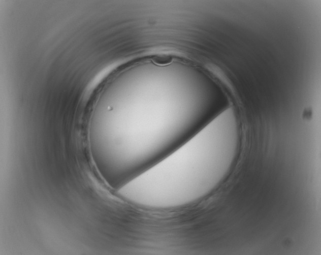 X0000114691068200910211049
