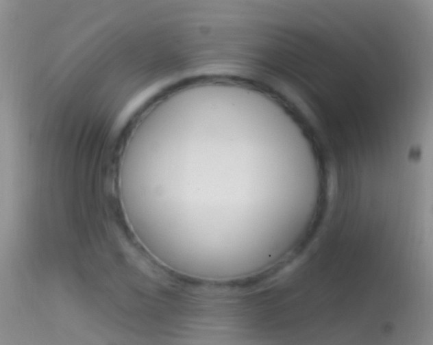 X0000114691069200910211049