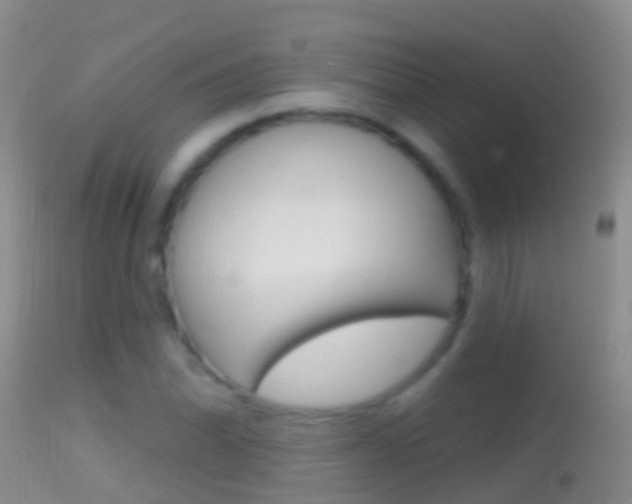 X0000114691070200910211049