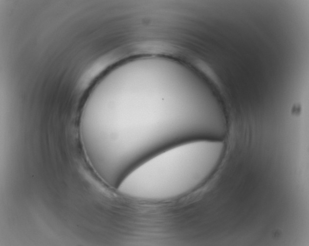 X0000114691071200910211049