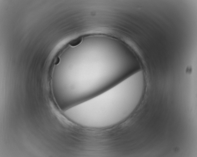 X0000114691072200910211049