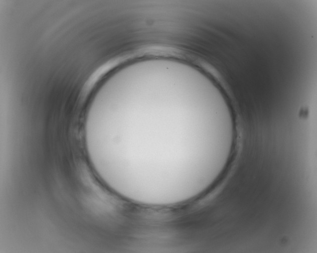 X0000114691074200910211049