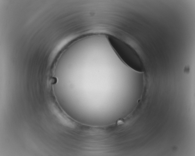 X0000114691076200910211049