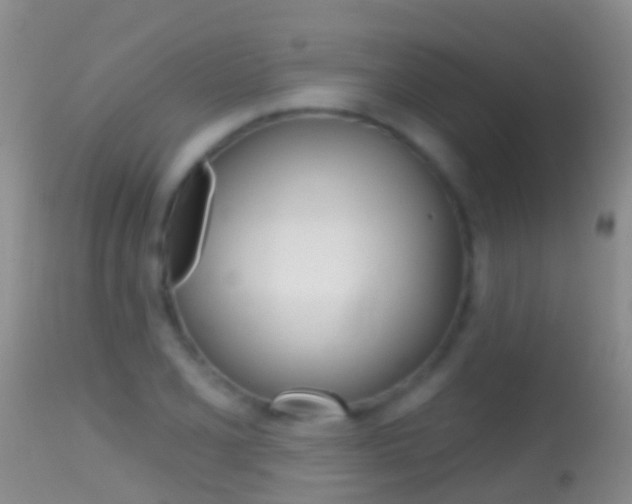 X0000114691077200910211049