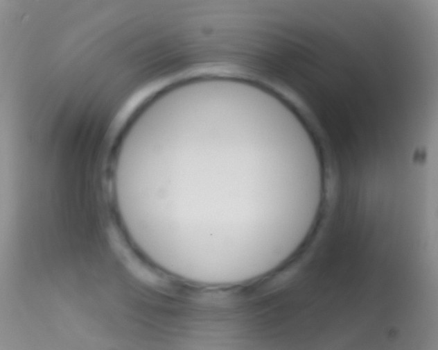 X0000114691078200910211049