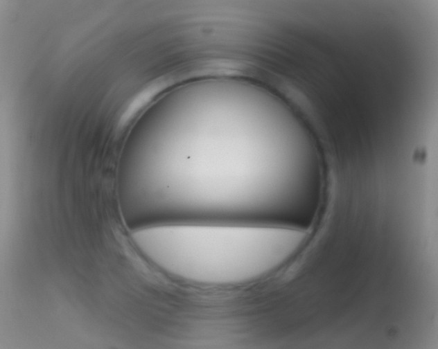 X0000114691081200910211049