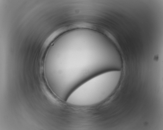 X0000114691082200910211049