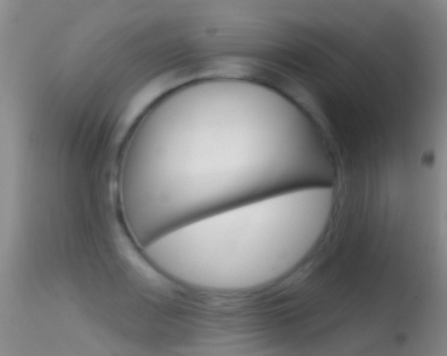 X0000114691083200910211049