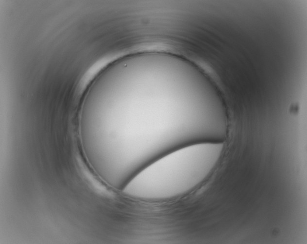 X0000114691086200910211049