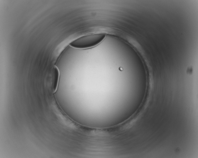 X0000114691089200910211049