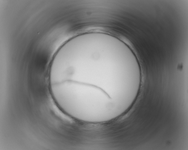 X0000114691090200910211049