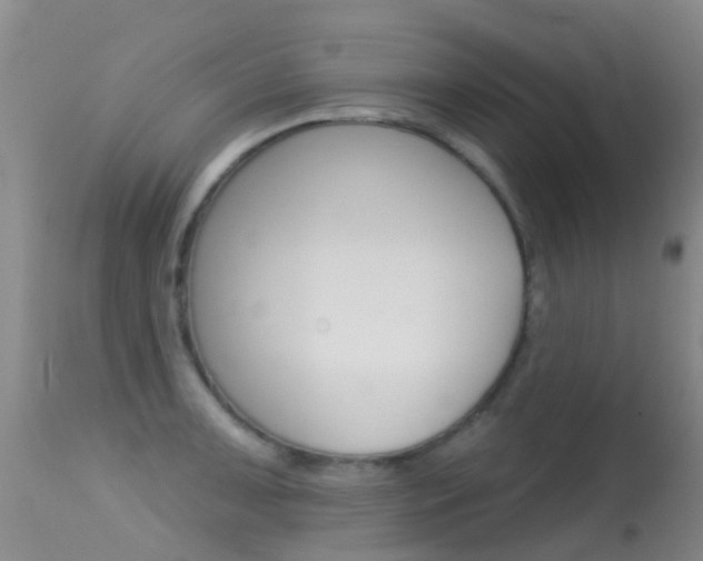 X0000114691091200910211049