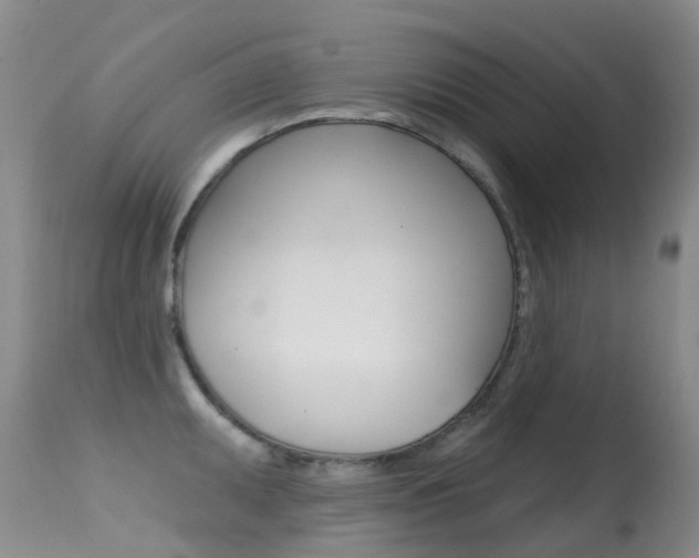 X0000114691095200910211049