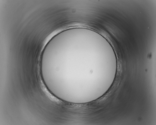 X0000114691098200910211049