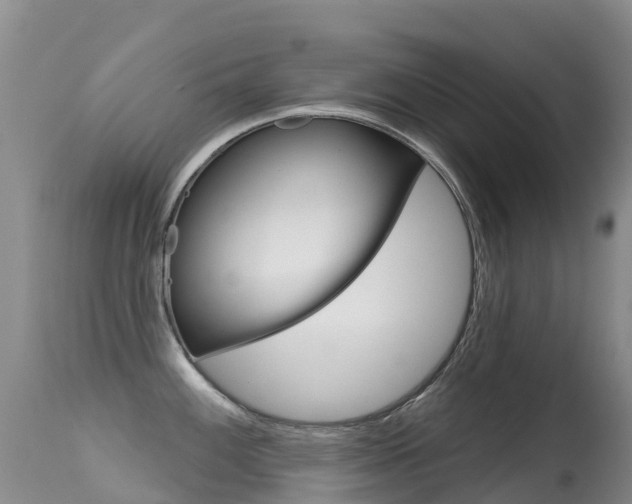 X0000114691100200910211049