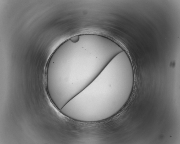 X0000114691103200910211049