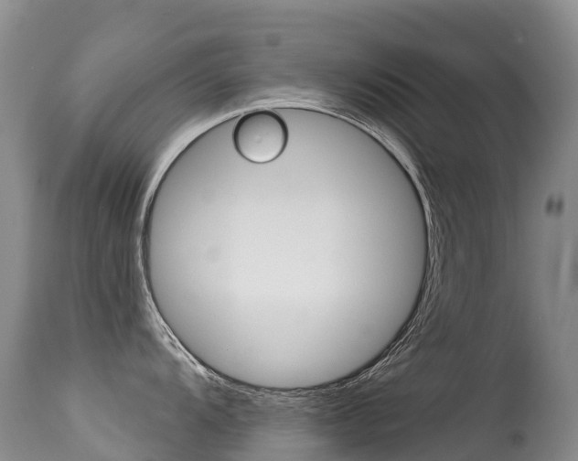 X0000114691104200910211049