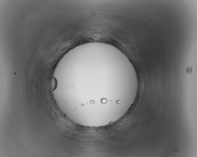 X0000114691105200910211048