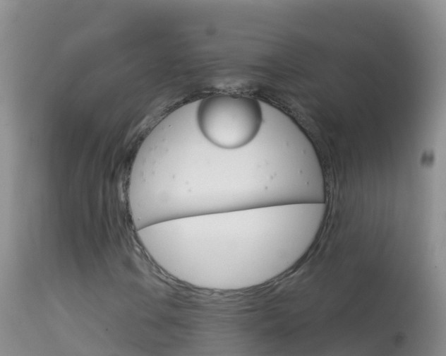 X0000114691106200910211048