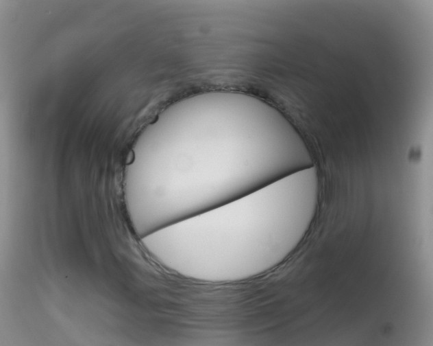 X0000114691107200910211048