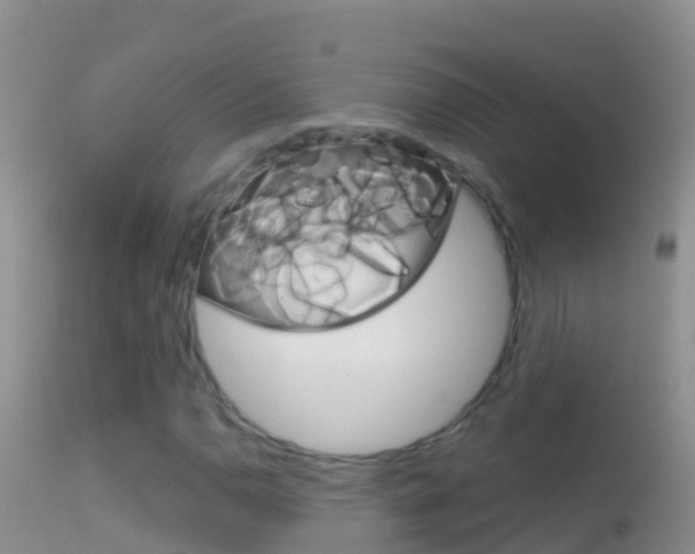 X0000114691110200910211048