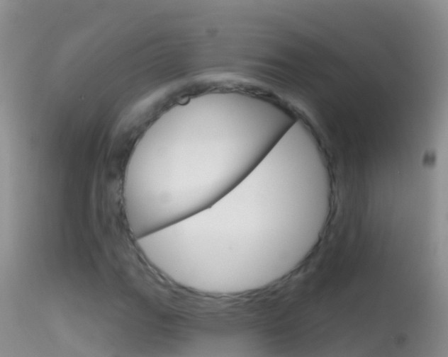 X0000114691111200910211048