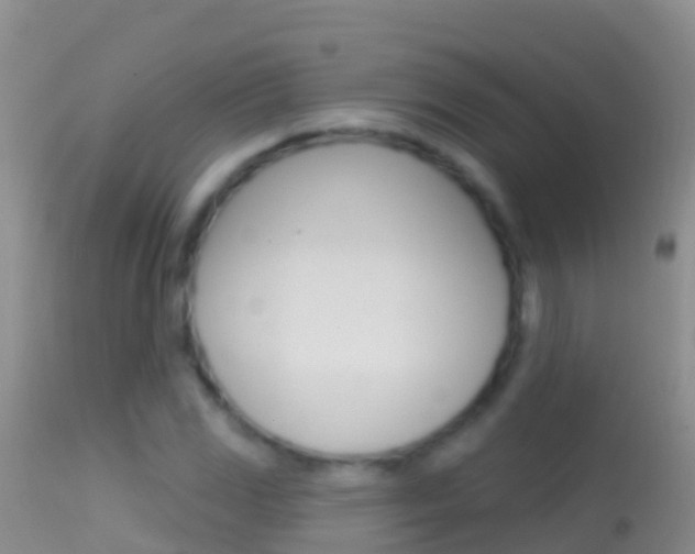 X0000114691117200910211048