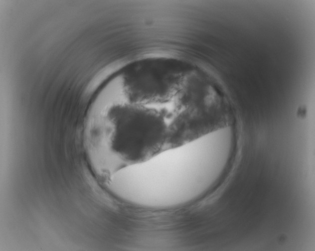 X0000114691121200910211048