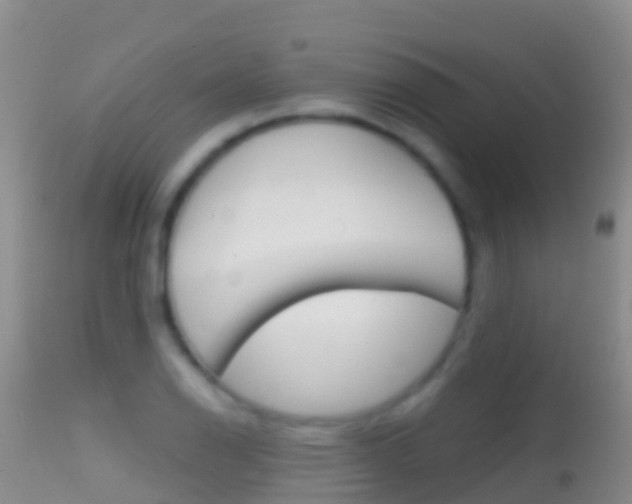 X0000114691126200910211048