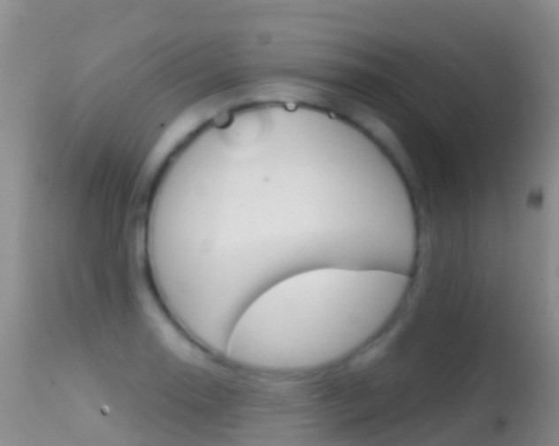 X0000114691130200910211048