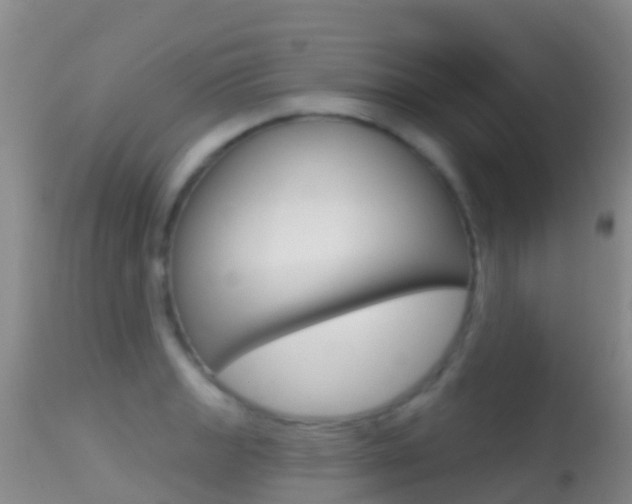 X0000114691133200910211048