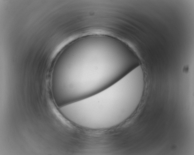 X0000114691134200910211048