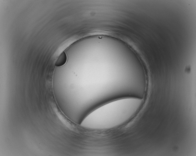 X0000114691137200910211048