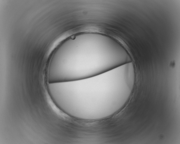 X0000114691139200910211048
