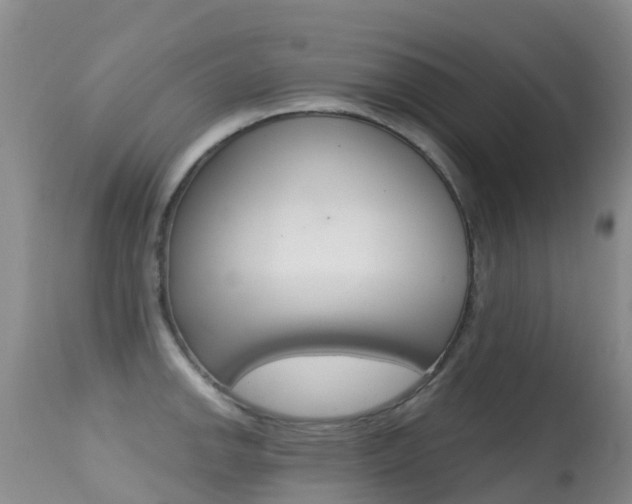 X0000114691142200910211048