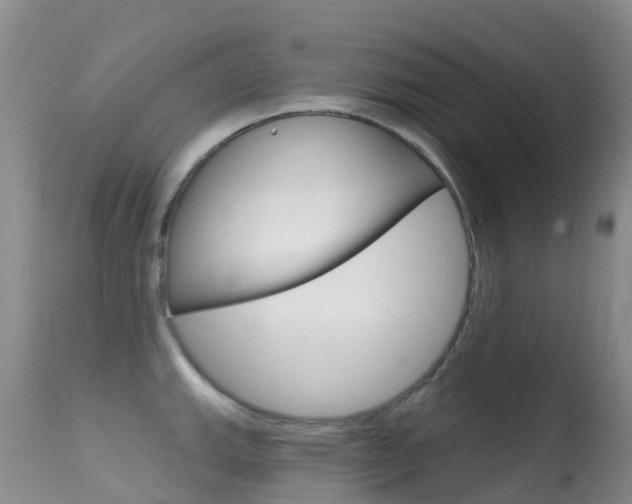 X0000114691143200910211048
