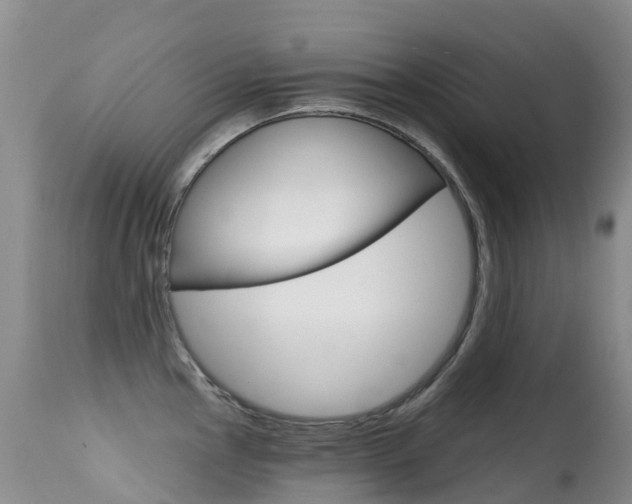 X0000114691145200910211048