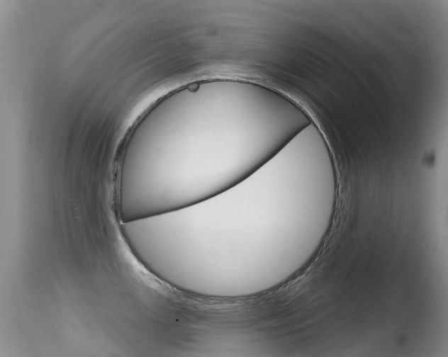 X0000114691147200910211048