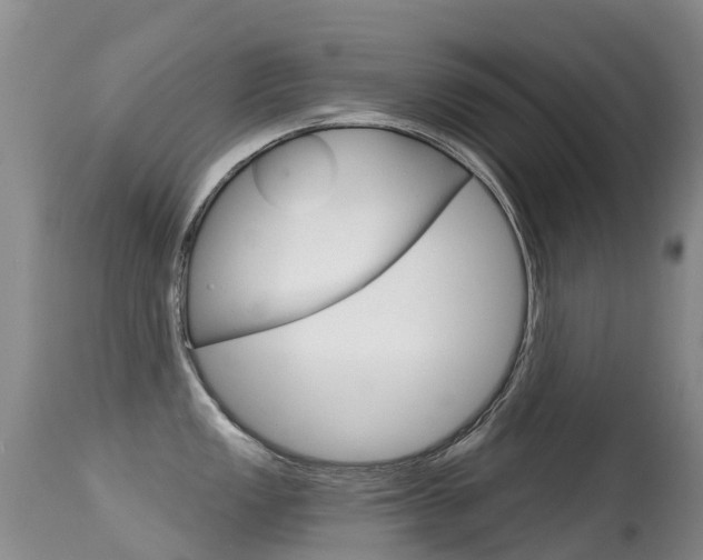 X0000114691149200910211048