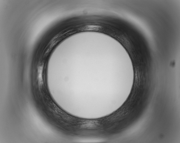 X0000114691150200910211048