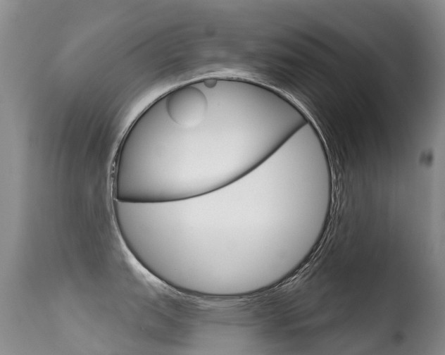 X0000114691151200910211049