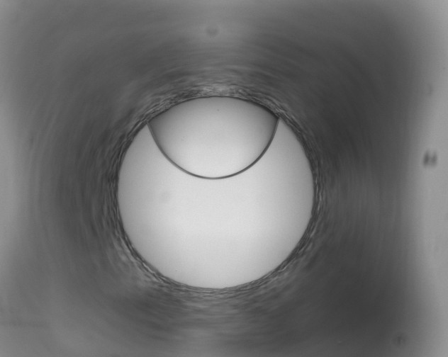 X0000114691153200910211048