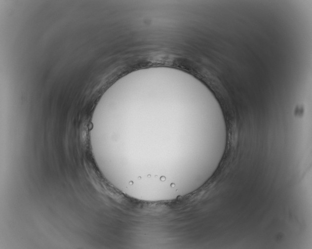 X0000114691154200910211048