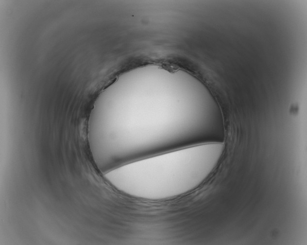 X0000114691156200910211048