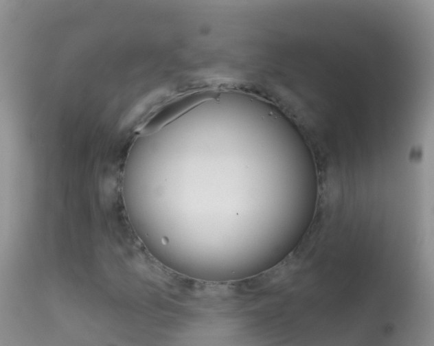 X0000114691157200910211048