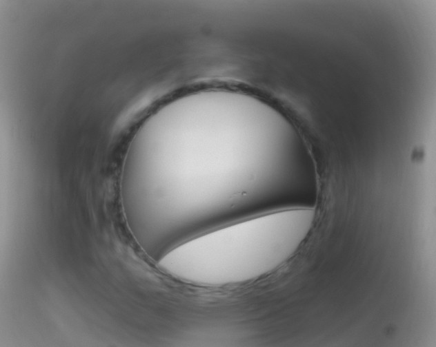 X0000114691159200910211048