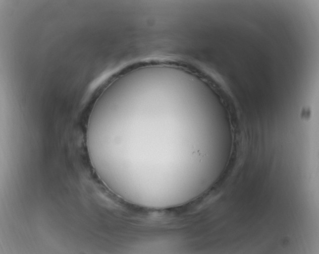X0000114691160200910211048